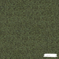 Polka  resmi