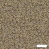 Polka  resmi