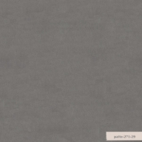 Patte resmi