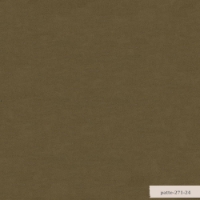 Patte resmi