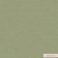 Patte resmi