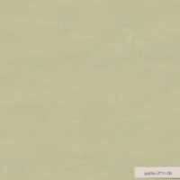 Patte resmi
