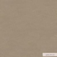 Patte resmi